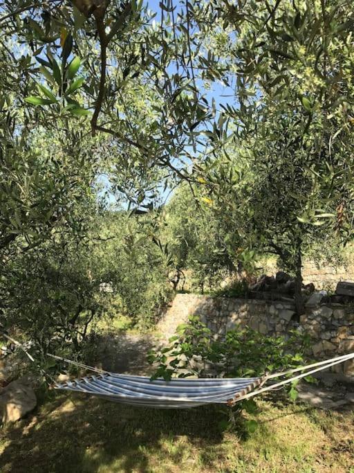 Villa Berio Due - Tuija Villa Viani Екстериор снимка