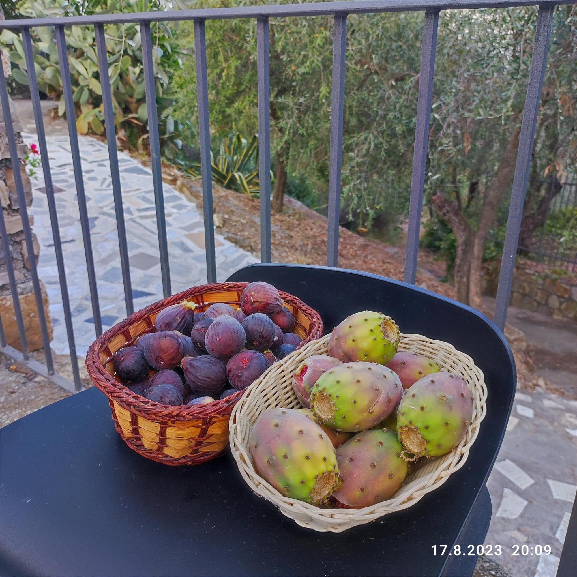 Villa Berio Due - Tuija Villa Viani Екстериор снимка